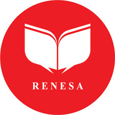 renesa-info-tech