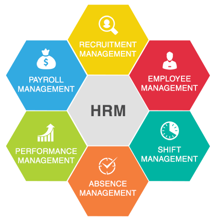 HR & Payroll Management
